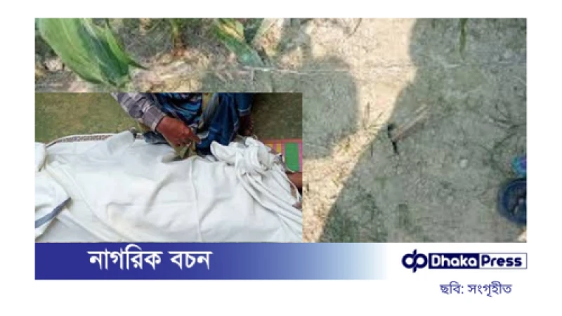 বৈদ্যুতিক ফাঁদে প্রাণ গেল স্বামী-স্ত্রীর