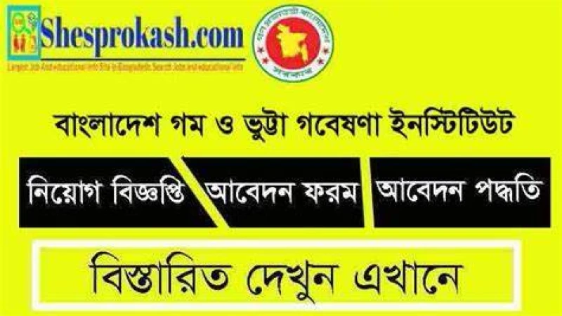 ষষ্ঠ গ্রেডে  গম ও ভুট্টা গবেষণা ইনস্টিটিউটে চাকরির সুযোগ