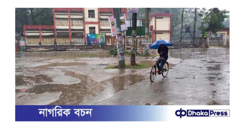শৈত্যপ্রবাহের সাথে গুঁড়ি গুঁড়ি বৃষ্টি, আলু ও বাদাম চাষীদের দুঃস্চিন্তা