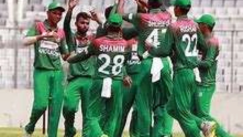 সিংহের অসহায় আত্মসমর্পণ বাঘের হুঙ্কারে