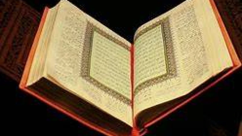 কোরআনে সুলাইমান (আ.)- এর ঘোড়া সম্পর্কে যা বলা হয়েছে!