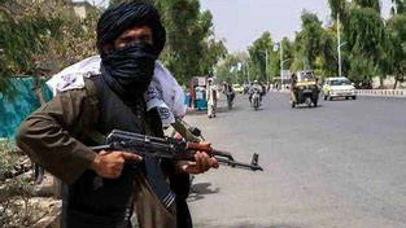 ন্যাটো ফোর্সের ২৫ সদস্য আহত কসোভোয় সংঘর্ষে