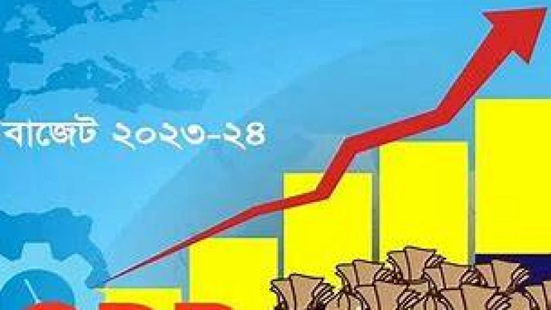 পার্বত্য চট্টগ্রামে ফল ও পর্যটন ভিত্তিক বিশেষ বরাদ্দ প্রয়োজন