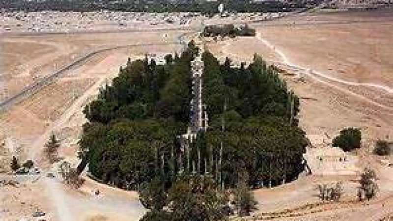 ধূসর মরুর বুকে সবুজের উপাখ্যানঃ মাহানের শাহজাদার বাগান