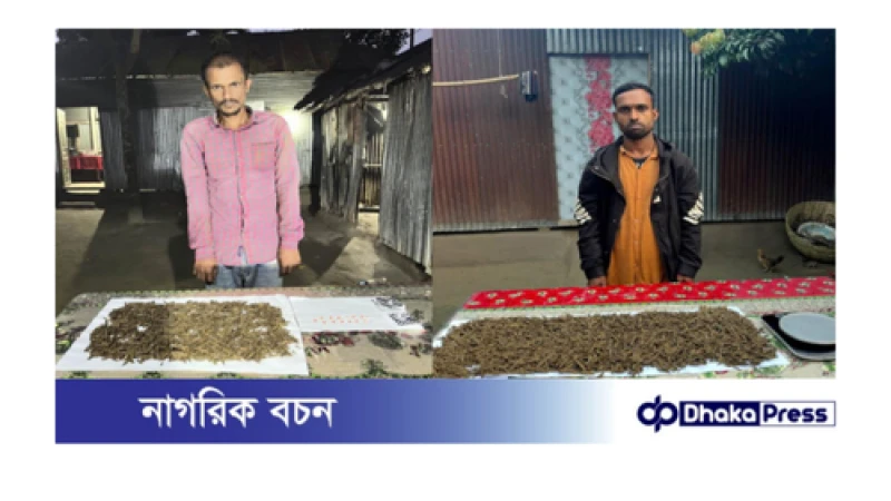 কুড়িগ্রামে যৌথ অভিযানে গাঁজা ও ইয়াবাসহ আটক ২