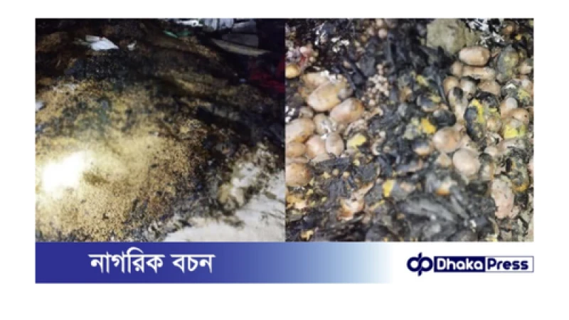 গোয়ালঘর-বসতভিটা ও গবাদিপশু আগুনে পুড়ে ছাই