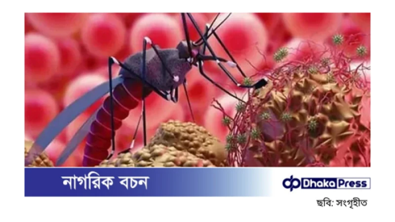 দেশে প্রথম জিকা ভাইরাসের গুচ্ছ সংক্রমণ শনাক্ত