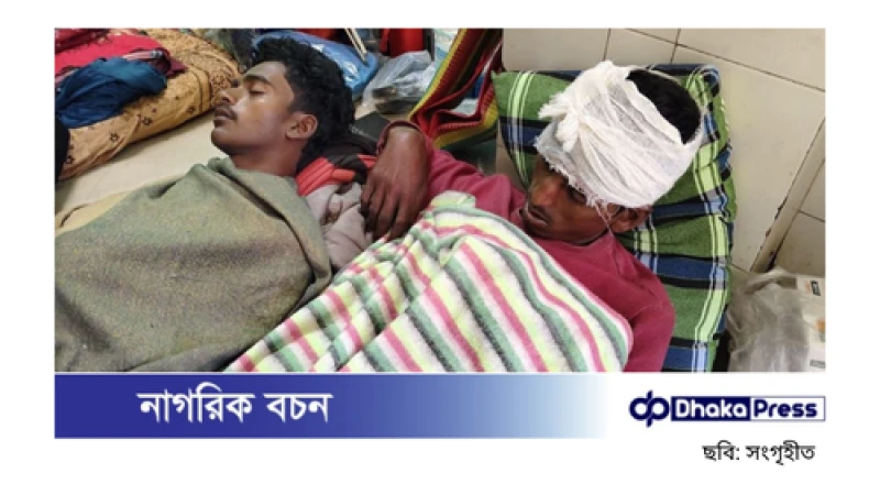 বলগেটের ধাক্কায় পদ্মায় ট্রলারডুবি, ভাসতে থাকা দুই জেলেকে উদ্ধার