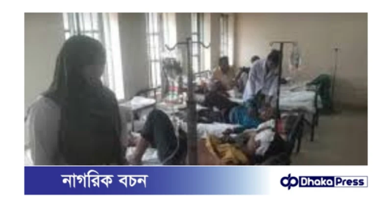 বড়াইগ্রামে মাছ ধরা নিয়ে সংঘর্ষে, আহত ১৭