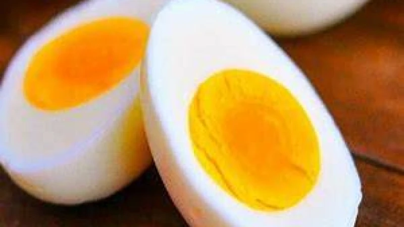 ডিম কি খাওয়া যায় না পরীক্ষার দিন