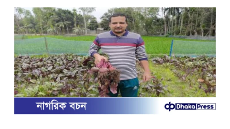বিটরুট চাষ করে সফল কুড়িগ্রামের সাইদুর