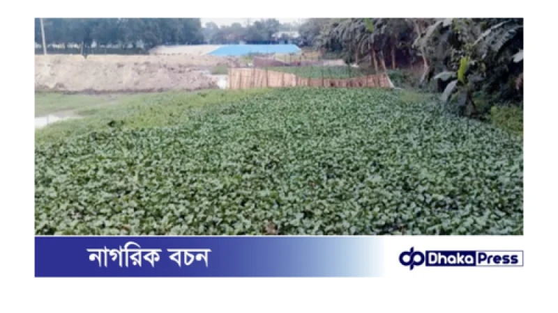 মুরাদনগরে অবৈধ ড্রেজার দিয়ে ভরাট করা হচ্ছে সরকারি খাল: প্রশাসন নিরব