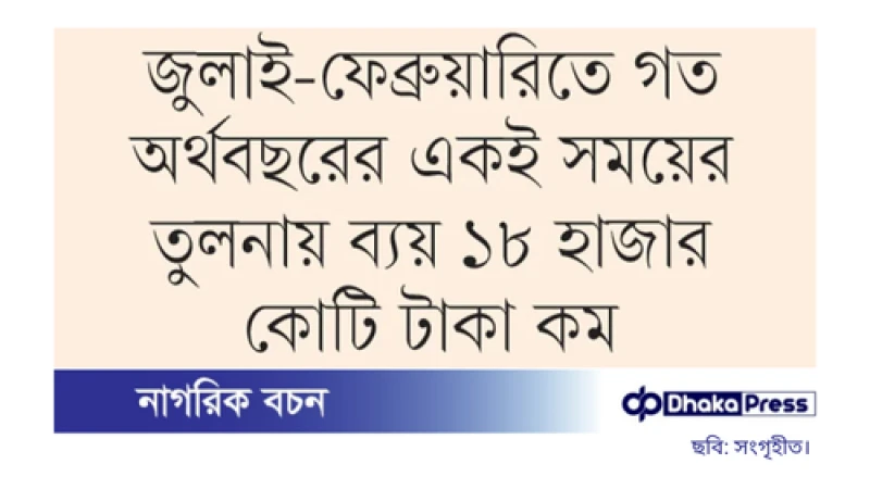 আট মাসে এডিপির বাস্তবায়ন মাত্র ২৪%