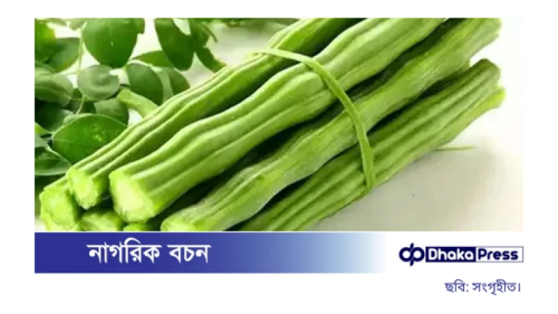 গরমে হজমের সমস্যা কমাতে সজনে ডাঁটার উপকারিতা