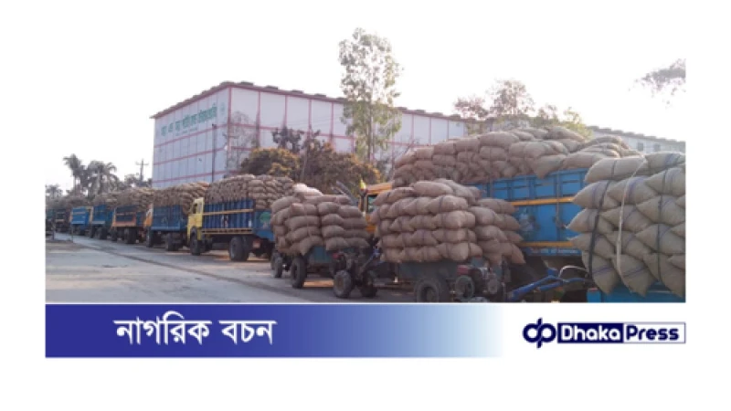 আলু নিয়ে বিপাকে কৃষক, জায়গা নেই হিমাগারে