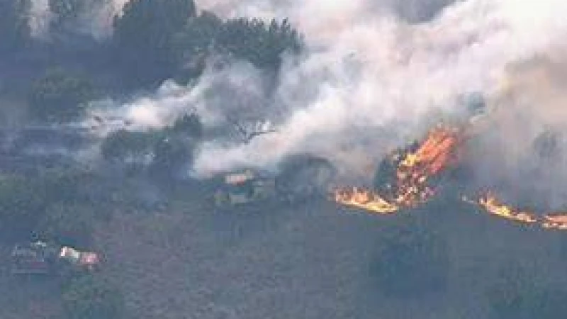 কানাডায় ভয়াবহ দাবানল ছড়িয়ে পড়ায় ১৬ হাজার মানুষ ঘর ছাড়া