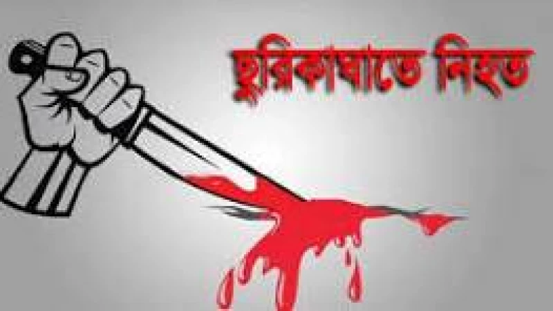 বড়াইগ্রামে জমি নিয়ে ছুরিকাঘাতে ১জন খুন, আহত ২