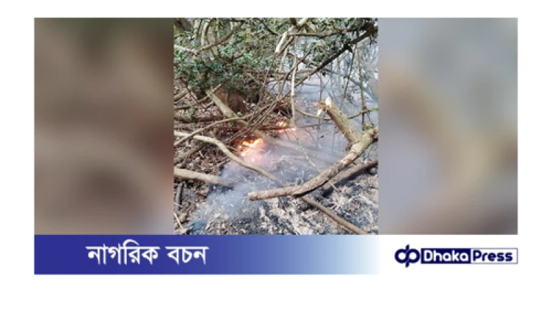 সুন্দরবনের আগুন নিয়ন্ত্রণে