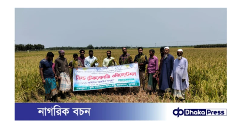 মুরাদনগরে ব্রি’র ৫০ বছরের অর্জনে উদযাপন: মাঠ পর্যায়ে ব্রি ধান ১০১, ১০২ ও ১০৪-এর প্রযুক্তি প্রদর্শনী