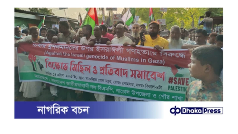 ফিলিস্তিনে খুনি ইসরায়েলের গণহত্যার প্রতিবাদে নাচোল জাতীয়তাবাদী দল বিএনপির মানববন্ধন ও বিক্ষোভ সমাবেশ