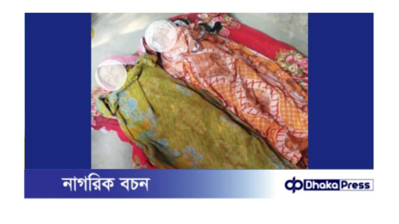 পুঠিয়ার শিলমাড়িয়ায় বিদ্যুৎ স্পৃষ্টে দুই শিশুর মৃত্যু 