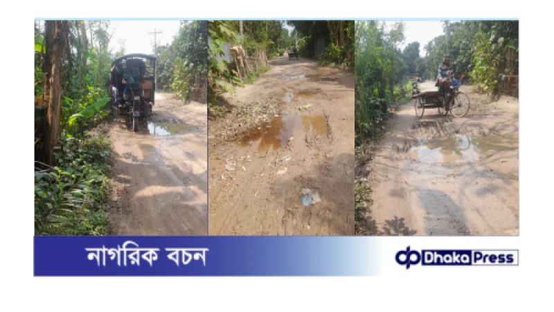 চারঘাট ভায়ালক্ষীপুর রাস্তার বেহাল অবস্থা জনদুর্ভোগ চরমে