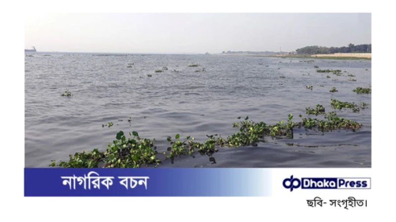 গজারিয়ায় মেঘনা নদী থেকে নিখোঁজ নৌযান শ্রমিকের মরদেহ উদ্ধার