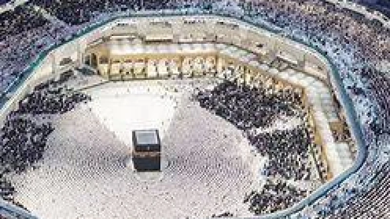 ২০ কোটির বেশি মুসল্লি মদিনায়