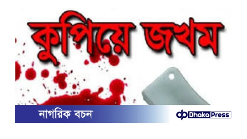 নাটোরের লালপুরে জমি আইল কাটা নিয়ে দুইজনকে কুপিয়ে জখম