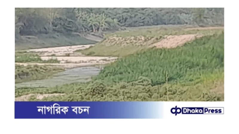 অবৈধ দখল  আর অপরিকল্পিত খননে বিলুপ্তির পথে বড়াল নদী