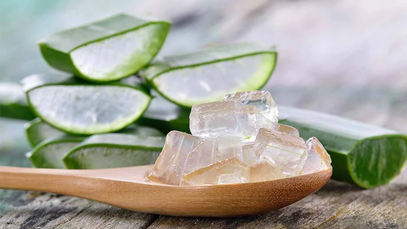 বানিয়ে নিন অ্যালোভেরা জেল বাড়িতে