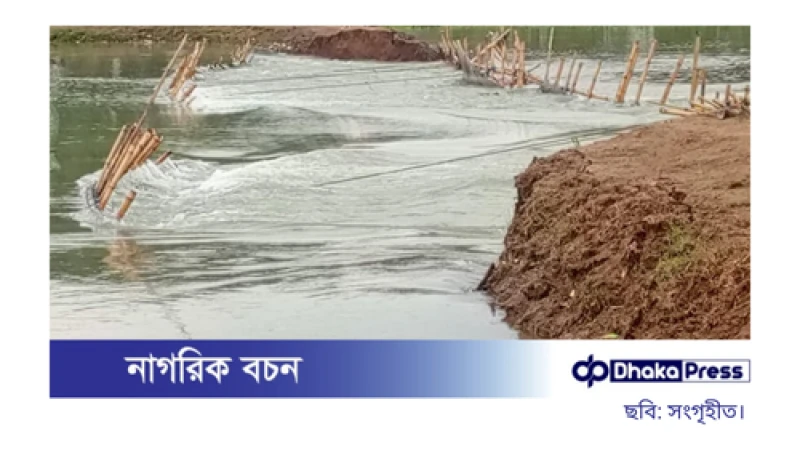 টাঙ্গুয়ার হাওরে নজরখালী বাঁধ ভেঙে ঢুকছে পাহাড়ি ঢলের পানি