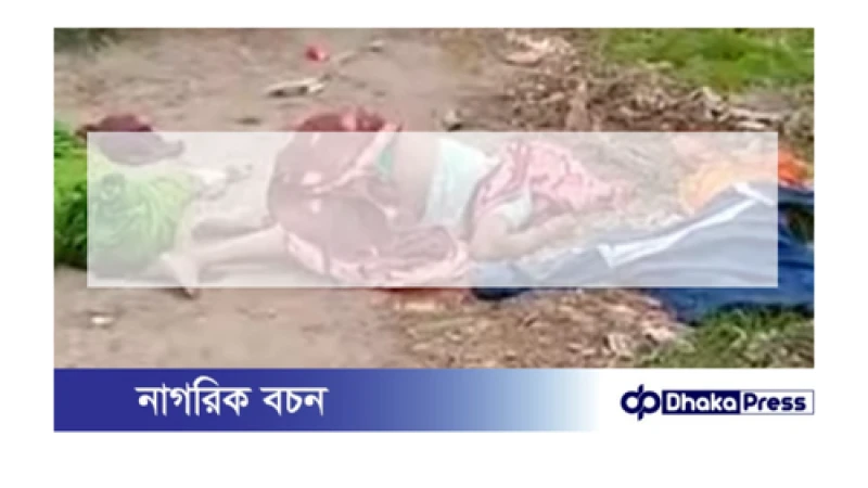 সীতাকুণ্ডে দূর্ঘটনায় একই জায়গায় দুদিনে দুইজন নিহত,আহত -৭