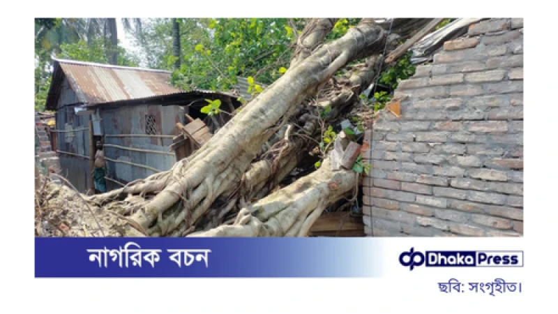 কালবৈশাখী ঝড়ে রংপুরে ব্যাপক ক্ষয়ক্ষতি
