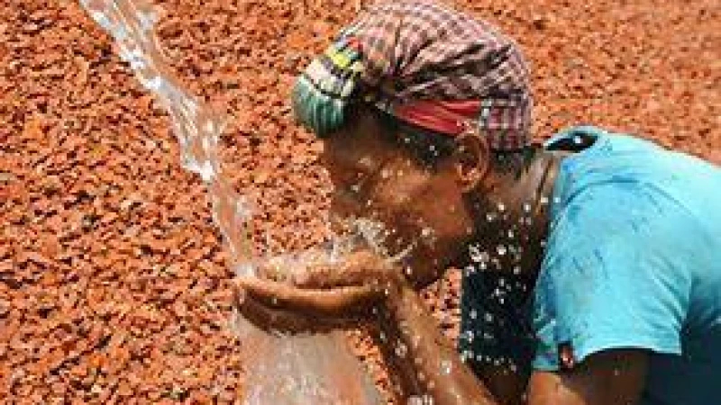 কত দিন থাকবে এমন গরম জানাল আবহাওয়া অধিদপ্তর