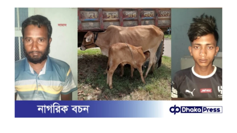 চাঁপাইনবাবগঞ্জ সদর থানার অভিযানে চুরি হওয়া গরুসহ দুই চোর গ্রেফতার 