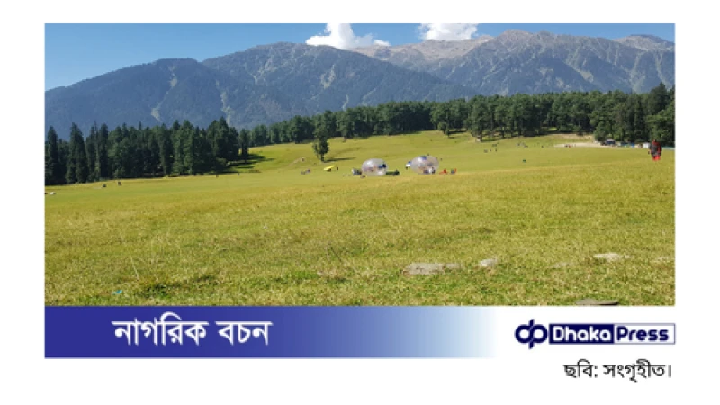 পাকিস্তানকে সমর্থন করে পোস্ট: আসামে ৩০ জন গ্রেপ্তার