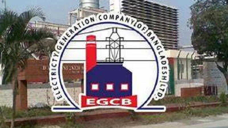 সরকারি বিদ্যুৎ কোম্পানিতে চাকরি, বেতনে প্রায় দেড় লাখ