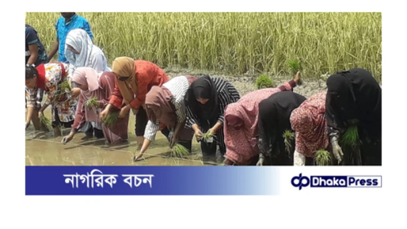 চিলমারীতে কুড়িগ্রাম কৃষি বিশ্ববিদ্যালয়ের শিক্ষার্থীদের দিনব্যাপী হাতে-কলমে শিক্ষা সফর