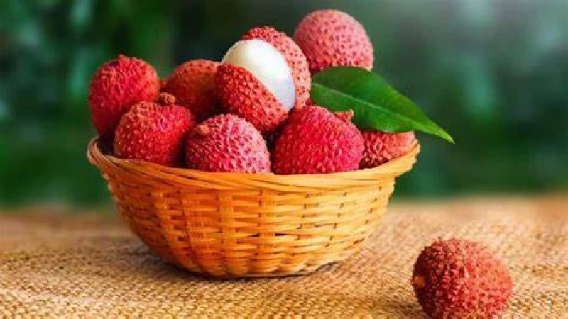 লিচুর গুণাবলি