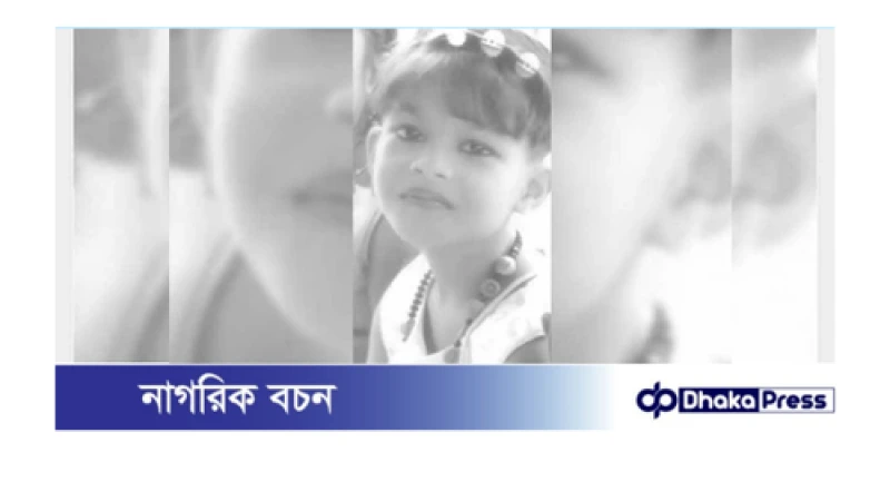 বড়াইগ্রামে ঝড়ে দেওয়ার ভেঙ্গে পড়ে মারা গেলেন বিথী