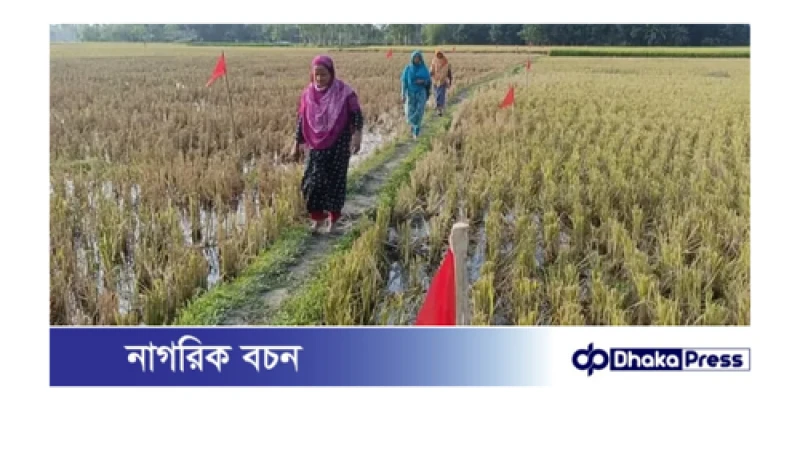 ১২ বছর পর আওয়ামী লীগ নেতার দখল থেকে সরকারি সড়ক উদ্ধার