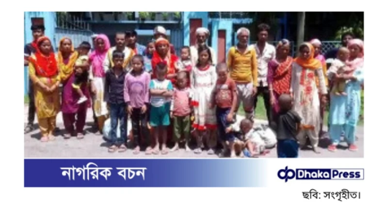 মুজিবনগর সীমান্তে ফের বিএসএফের পুশইন, দুই দিনে ৩০ বাংলাদেশি প্রত্যাবাসন