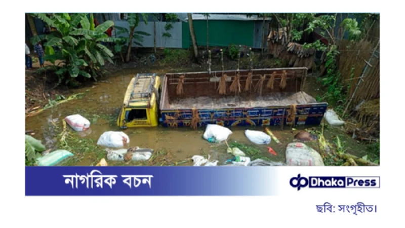 রাজবাড়ীতে গরুবাহী ট্রাক খাদে পড়ে দুই ব্যবসায়ী নিহত