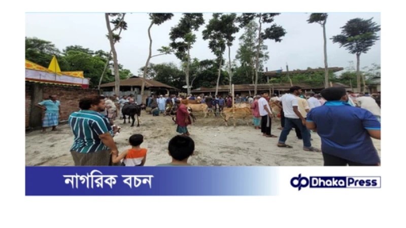 নিয়মনীতির তোয়াক্কা না করেই বিএনপি নেত্রী বিদ্যালয়ে বসালো পশুর হাট