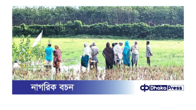 কুড়িগ্রাম সীমান্তে বিএসএফের পুশইন মে মাসেই ১১৬