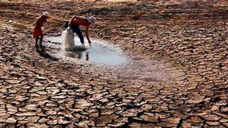 বৈশ্বিক তাপমাত্রা বৃদ্ধিতে মারা যেতে পারে লক্ষাধিক মানুষ শুধু ইরাকেই