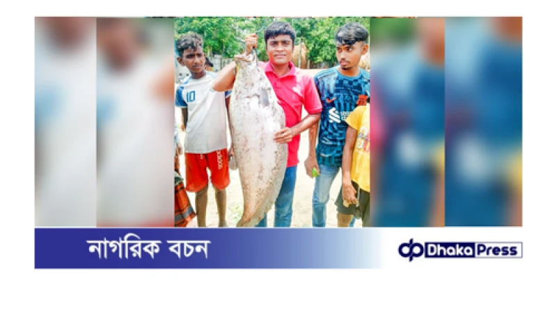 ব্রহ্মপুত্রে বড়‌শিতে আটঁকালো সাড়ে ৯ কে‌জি চিতল