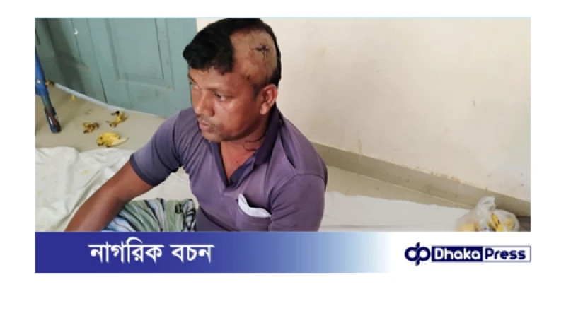 বড়াইগ্রামে জোনাইলে আওয়ামী লীগের দুই গ্রুপের সংঘর্ষে আহত ৮