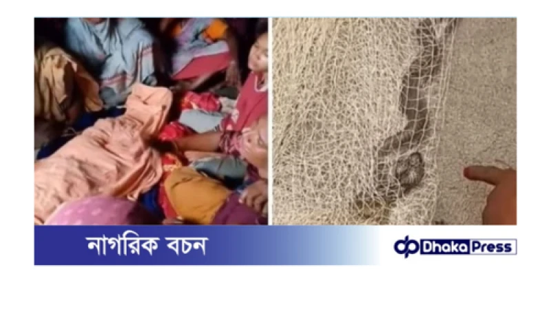 বিষধর সাপের কামড়ে কুড়িগ্রামে নারীর মৃত্যু